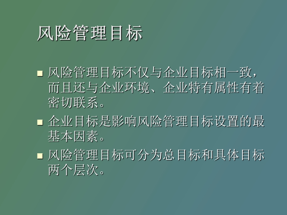 风险管理计划.ppt_第3页