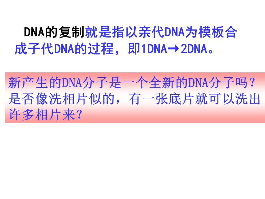 高一生物DNA的复制.ppt_第3页