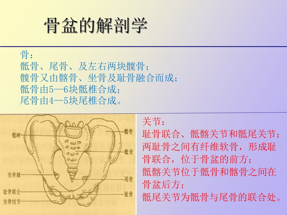 骨盆骨折护理.ppt_第2页