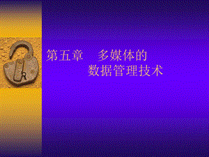 多媒体数据管理技术.ppt