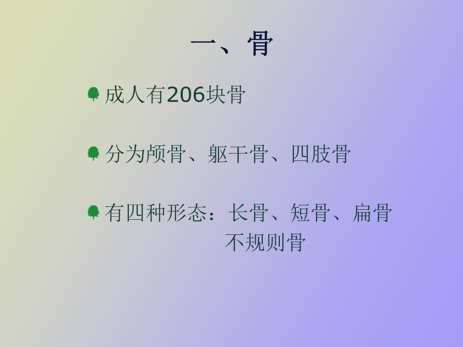 骨科护理概况.ppt_第3页