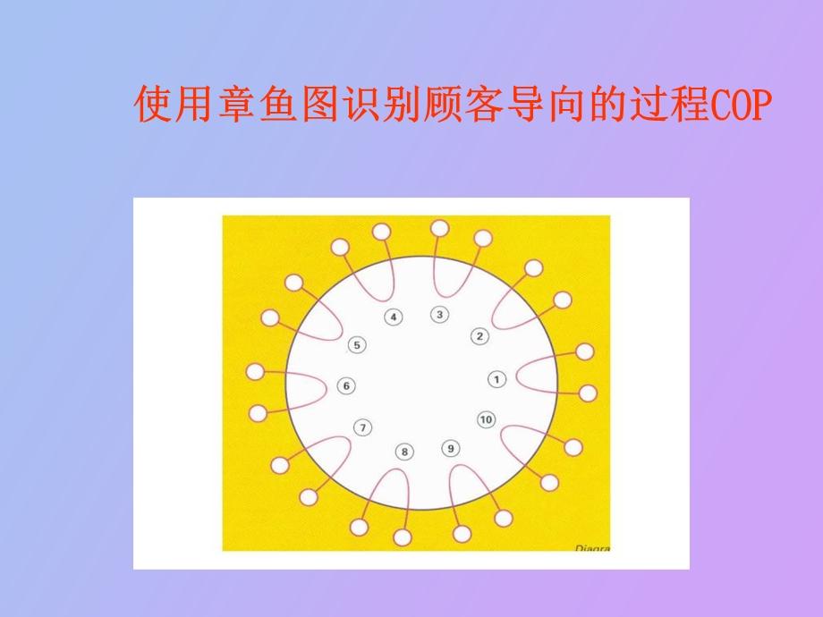 过程分析龟形.ppt_第2页