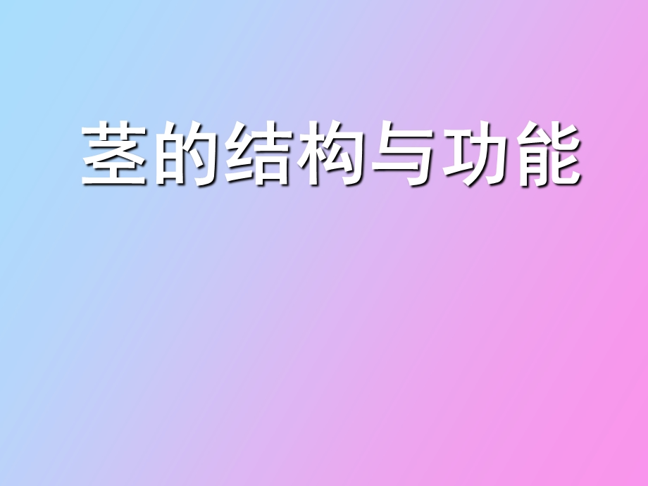 茎的结构与功能.ppt_第1页