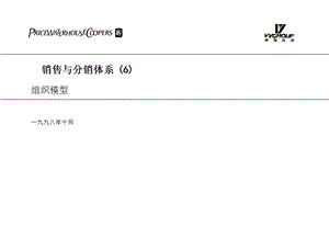 营销与分销体系.ppt