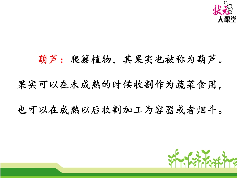 部编版我要的是葫芦.ppt_第2页