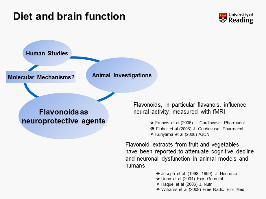 黄酮类化合物和脑健康.ppt_第3页