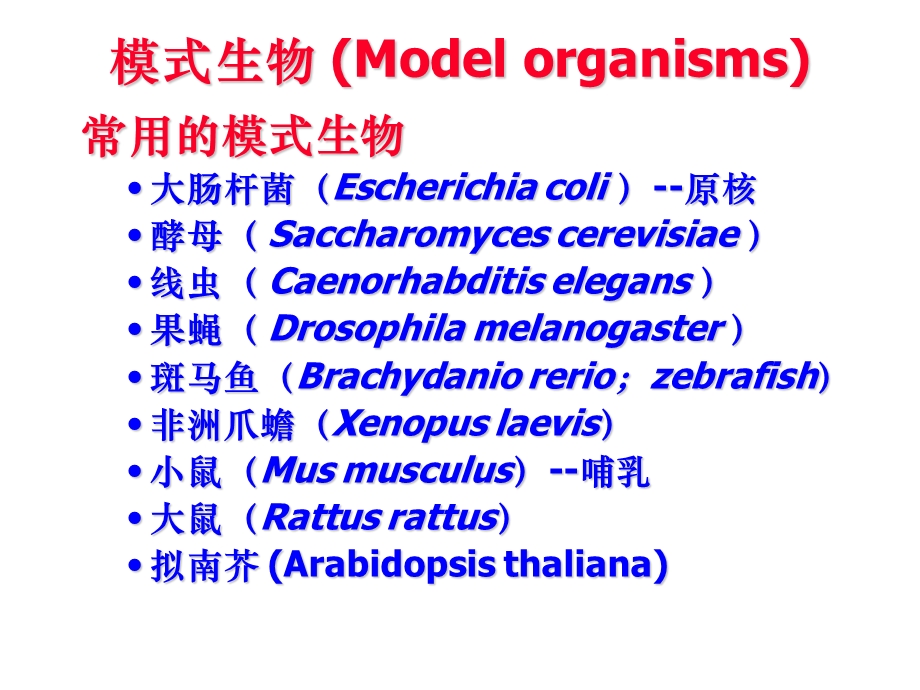 发育生物学-发育生物学模式生物.ppt_第2页