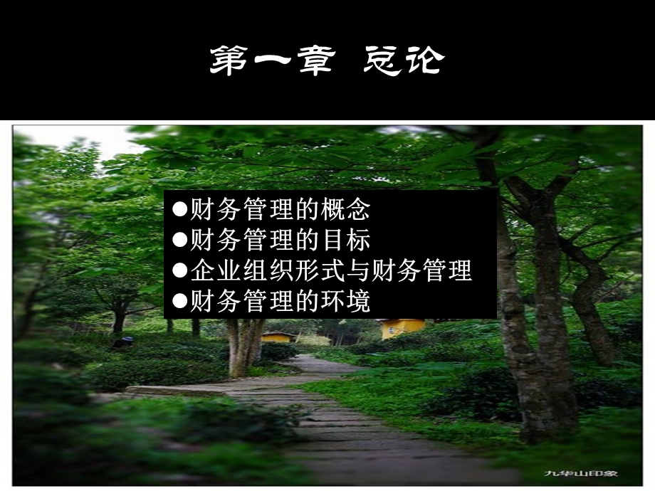 财务管理学第一章总论.ppt_第3页