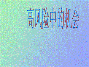 高风险中的机会.ppt