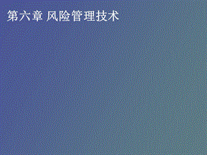 风险管理技术.ppt