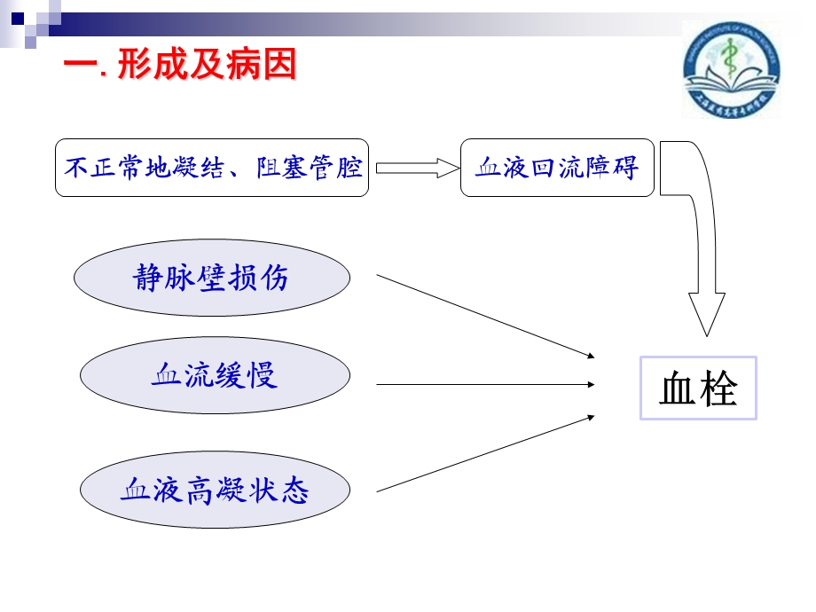 骨科大手术后深静脉血栓的护理.ppt_第3页