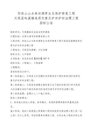 祁连山山水林田湖草生态保护修复工程天祝县哈溪镇地质灾害及护田护村治理工程.docx