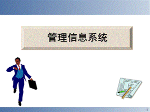 管理信息系统实施.ppt