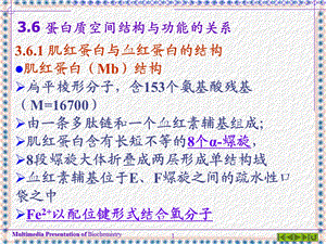 蛋白质的高级结构.ppt