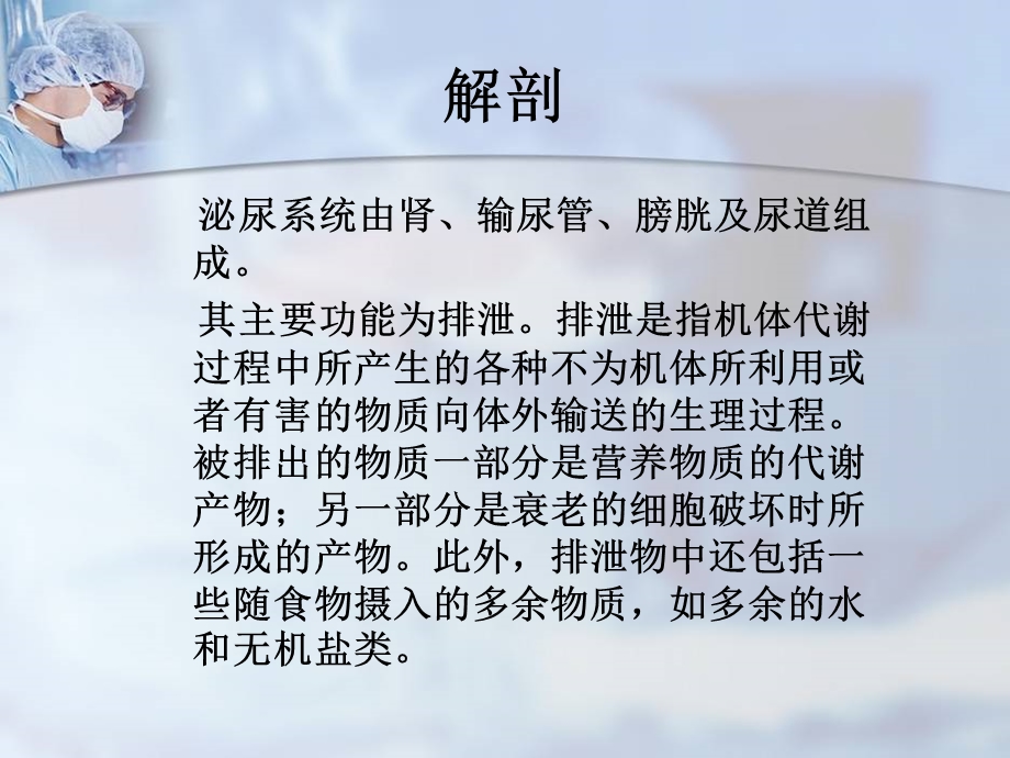 肾切除手术护理查房.ppt_第2页