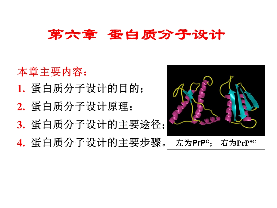 蛋白质分子设计.ppt_第1页