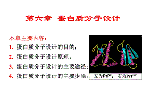 蛋白质分子设计.ppt