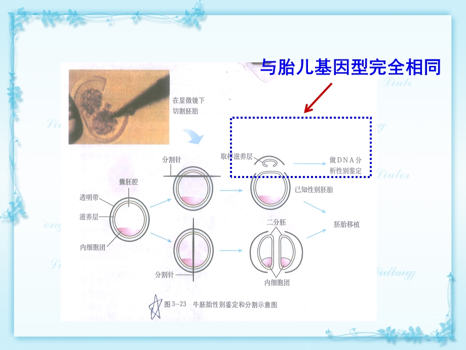 高三生物培训资料五选修部分复习建议(中谭秋霞).ppt_第2页