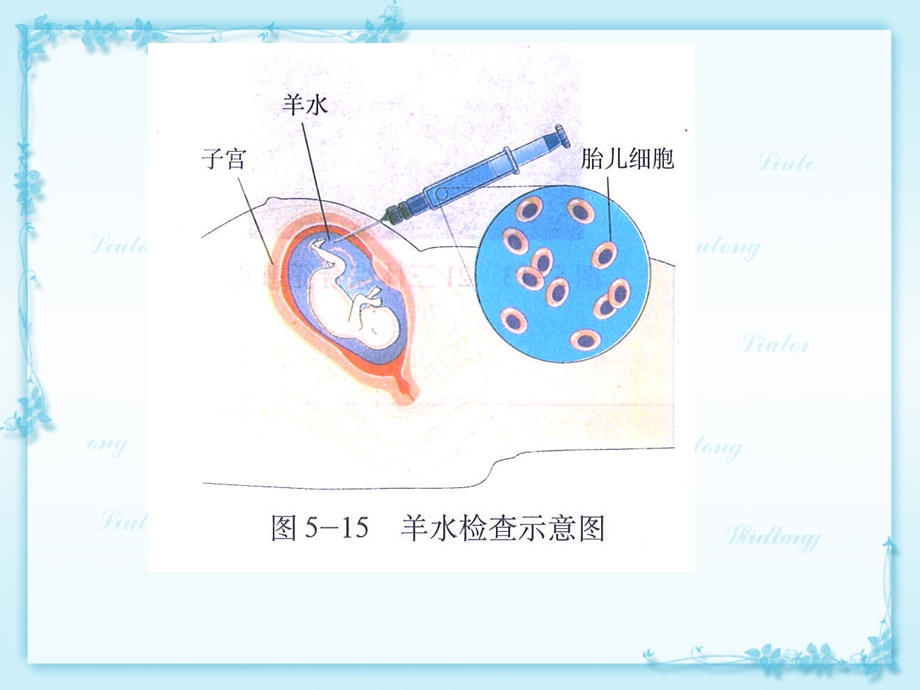 高三生物培训资料五选修部分复习建议(中谭秋霞).ppt_第3页