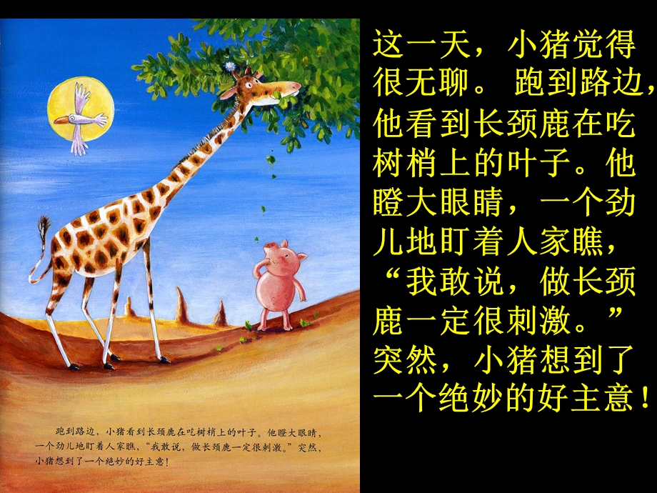 笔画概述《小猪变形记》.ppt_第2页