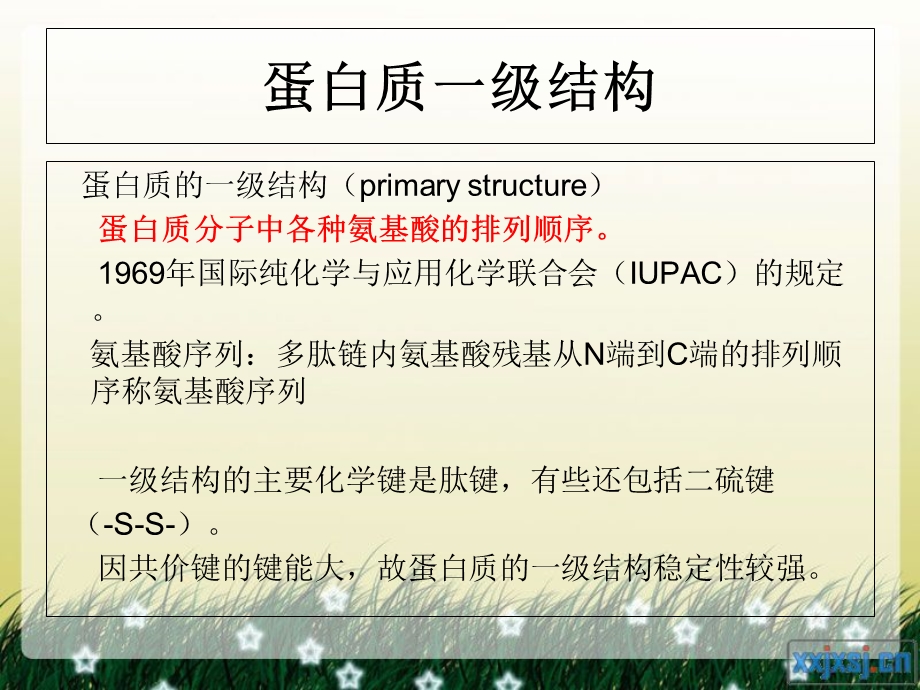 蛋白质一级结构决定高级结构.ppt_第3页