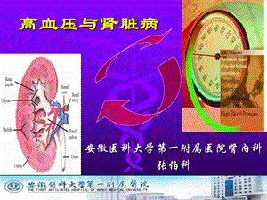 高血压与肾脏损害.ppt