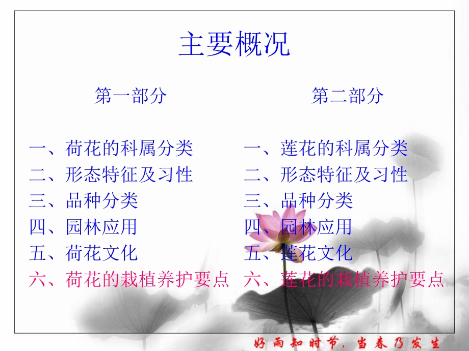 荷花、莲花的栽植养护要点.ppt_第2页