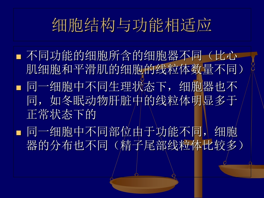 观察叶绿体和线粒体的实验.ppt_第3页