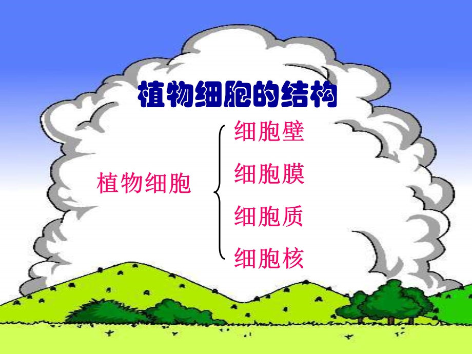 洋葱鳞片叶表皮细胞的结构.ppt_第2页