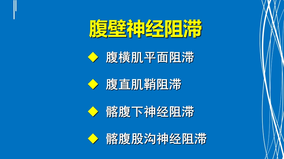 腹部神经阻滞应用解剖(沙龙).ppt_第2页