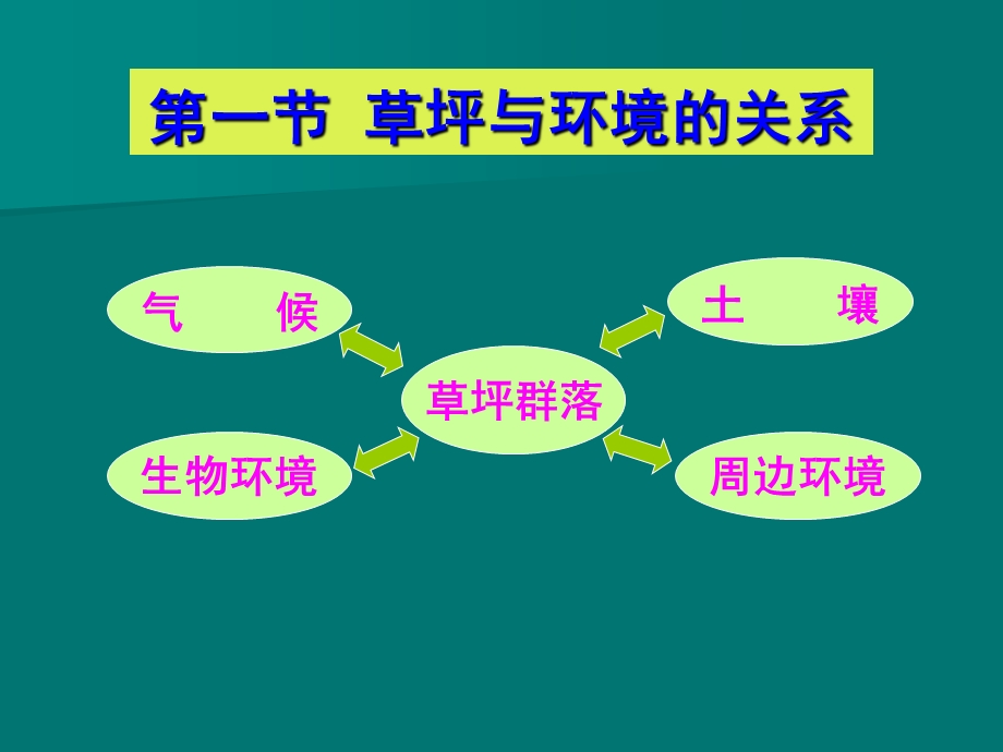 草坪生物学基础.ppt_第2页