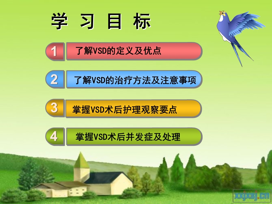 培训资料vsd负压课件.ppt_第3页