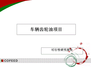 车辆齿轮油项目可行研究报告.ppt