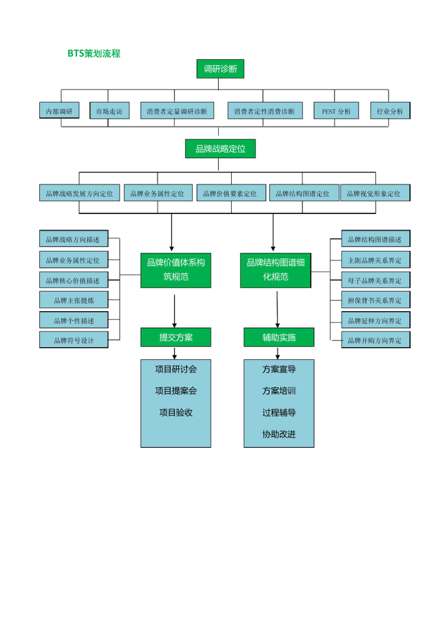 品牌战略策划.docx_第2页