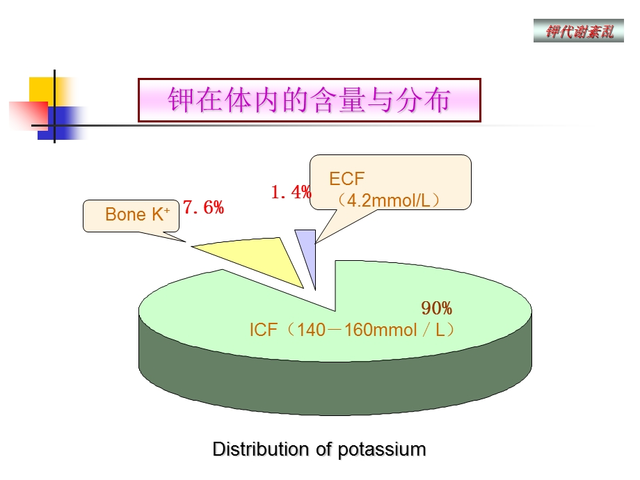 钾代谢及钾代谢障碍.ppt_第2页