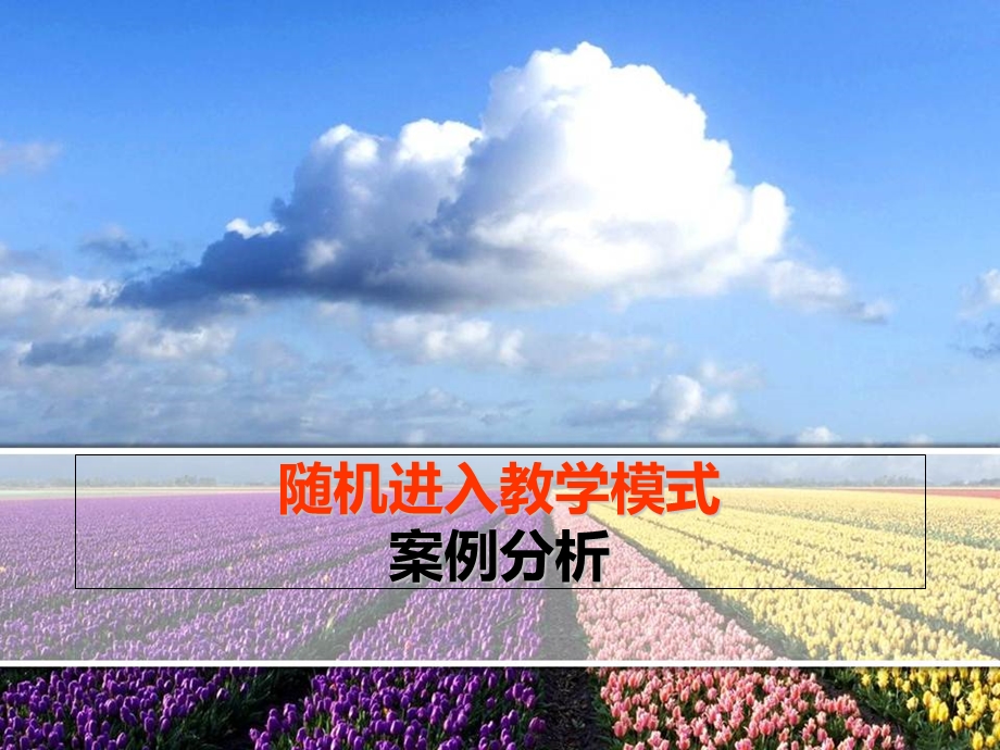 随机进入式教学案例.ppt_第1页