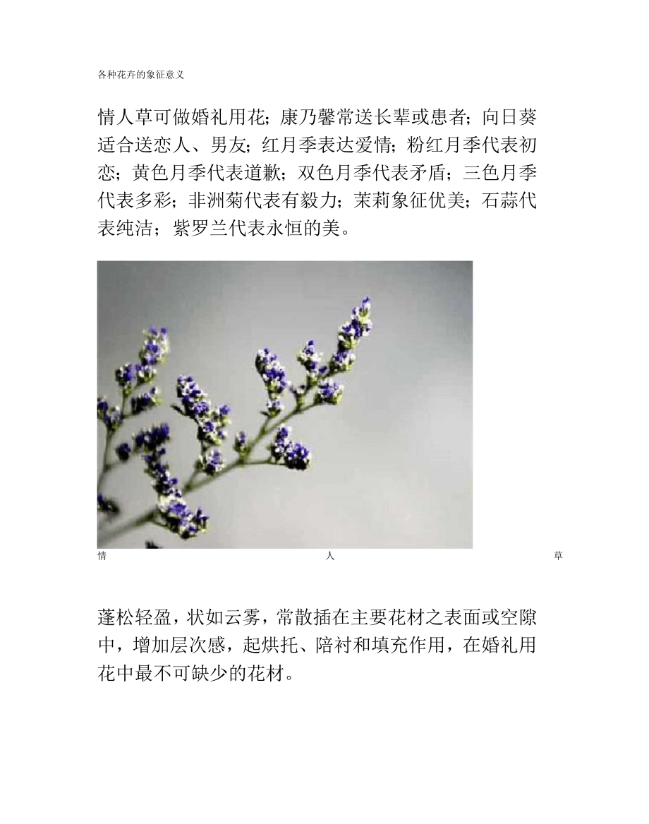 各种花卉的象征意义.docx_第1页