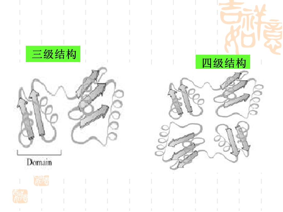 蛋白质的化学二.ppt_第3页