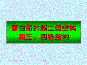 蛋白质高级结构.ppt