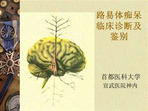 路易体痴呆临床诊断与鉴别PPT.ppt