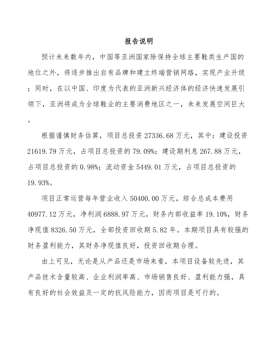 山东鞋跟鞋底项目可行性研究报告.docx_第1页