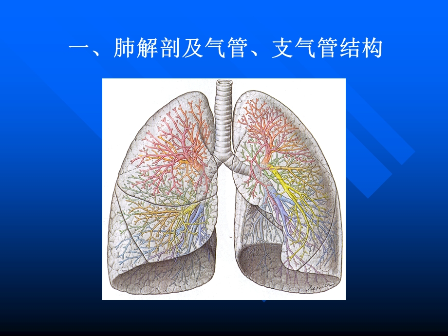 肺部影像学诊断.ppt_第2页