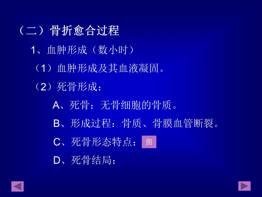 骨折愈合及骨肿瘤.ppt_第3页