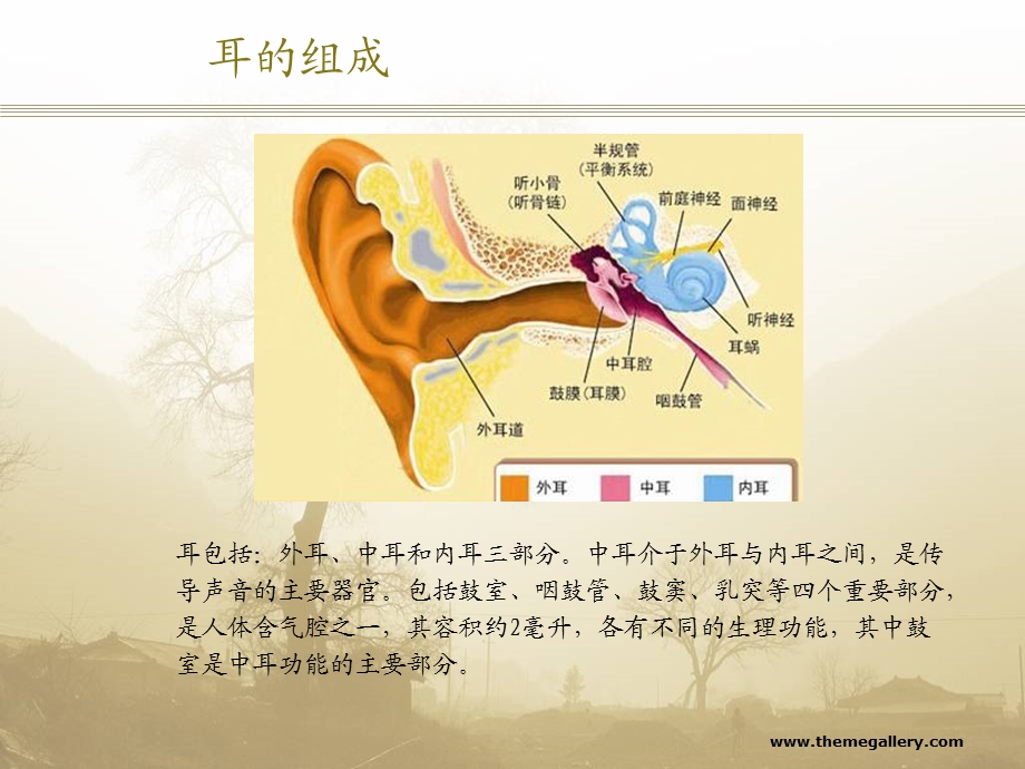 慢性化脓性中耳炎病人的护理ppt课件.ppt_第3页