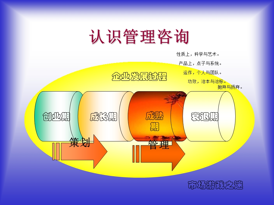 管理咨询的地位.ppt_第3页