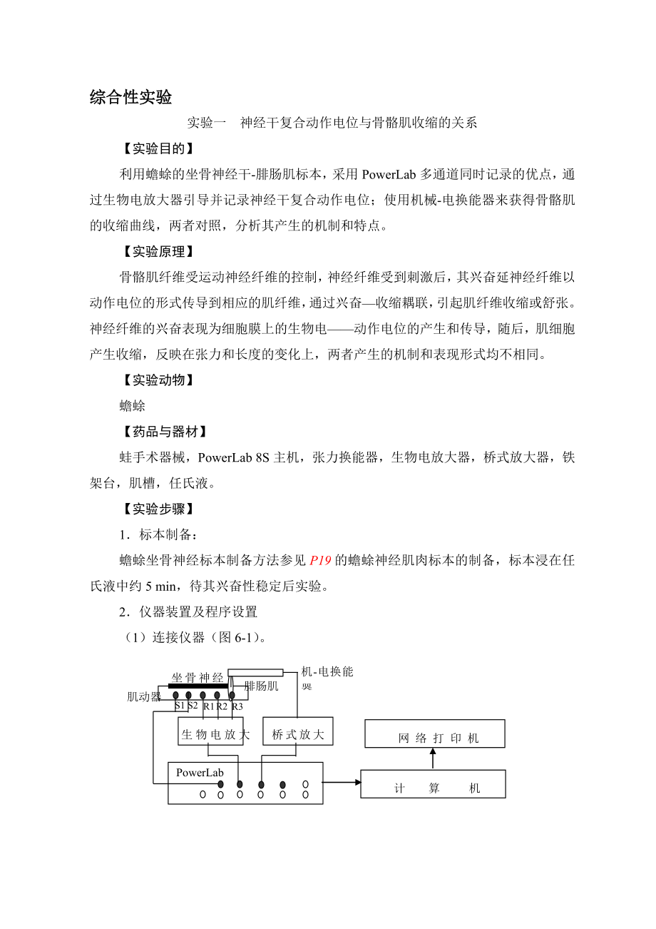 神经干复合动作电位与骨骼肌收缩的关系.doc_第1页