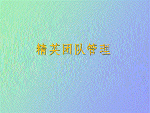 精英团队管理.ppt