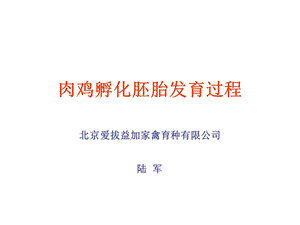 肉鸡孵化胚胎发育过.ppt