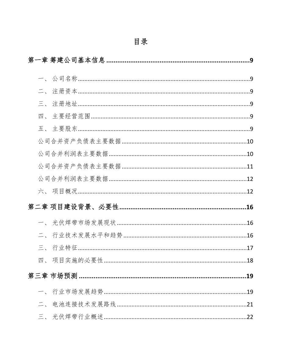 山西关于成立光伏焊带公司报告.docx_第2页