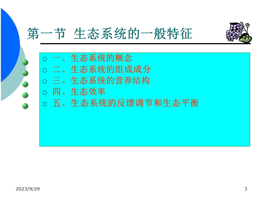 部分生态系统生态学.ppt_第3页